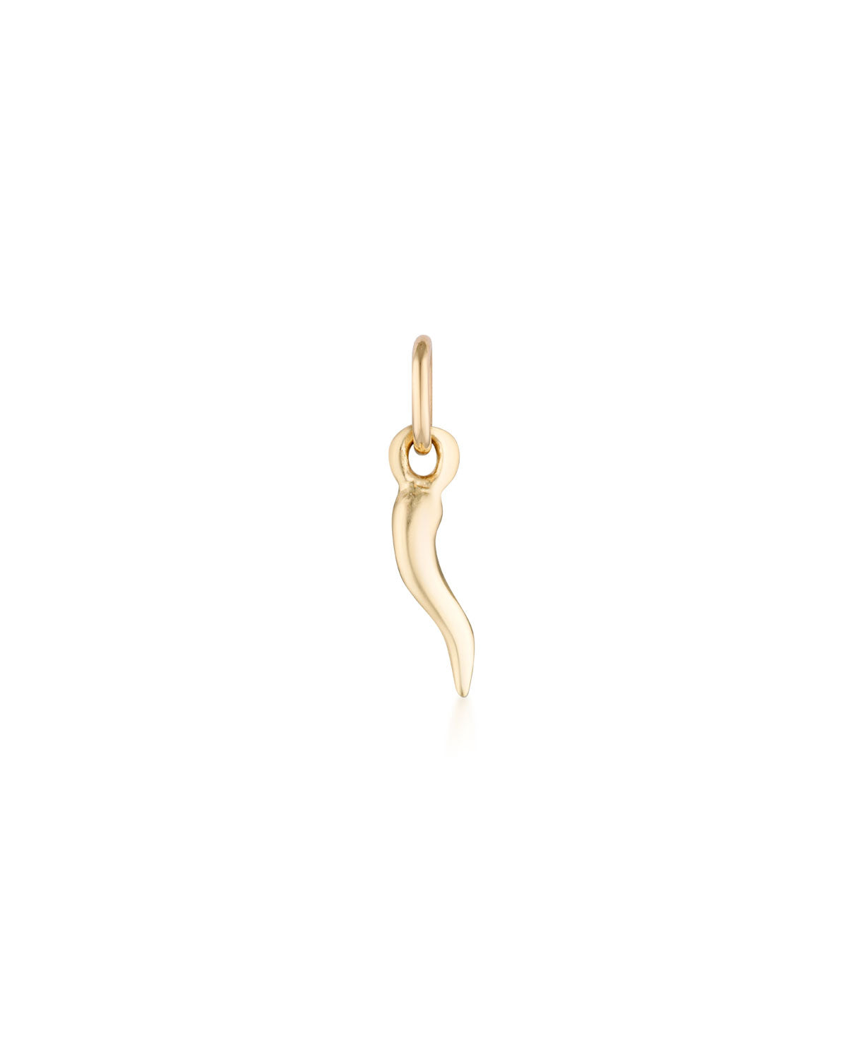 Cornucopia (Abundance) Charm